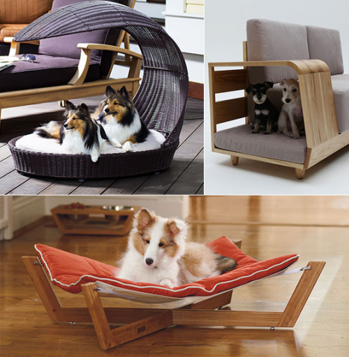 Pet Furniture'