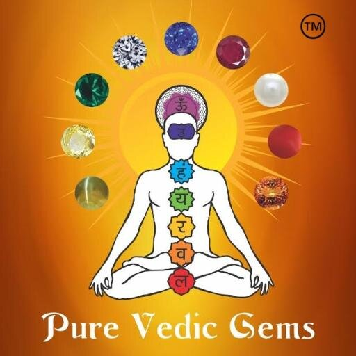 Company Logo For Pure Vedic Gems'