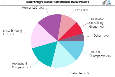 Corporate Financial Risk And Strategic Advisory Market May S