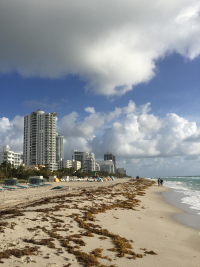 Miami-Dade Hotels Are Open Again