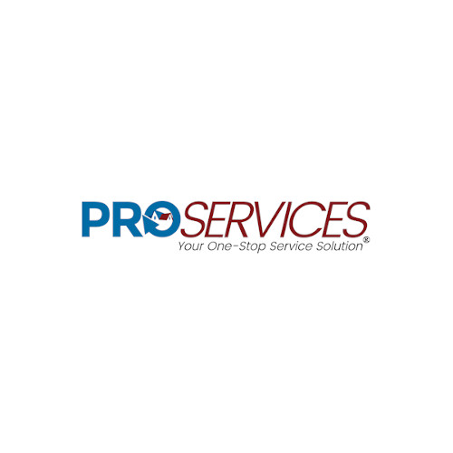 Company Logo For Pro Services, LLC'