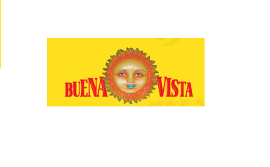 Company Logo For Buena Vista Publishing LLC'