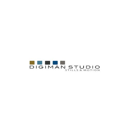 Company Logo For Digiman Studio'