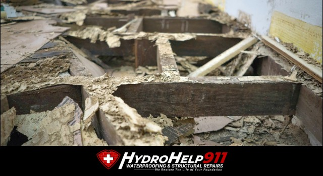 Company Logo For HydroHelp911'