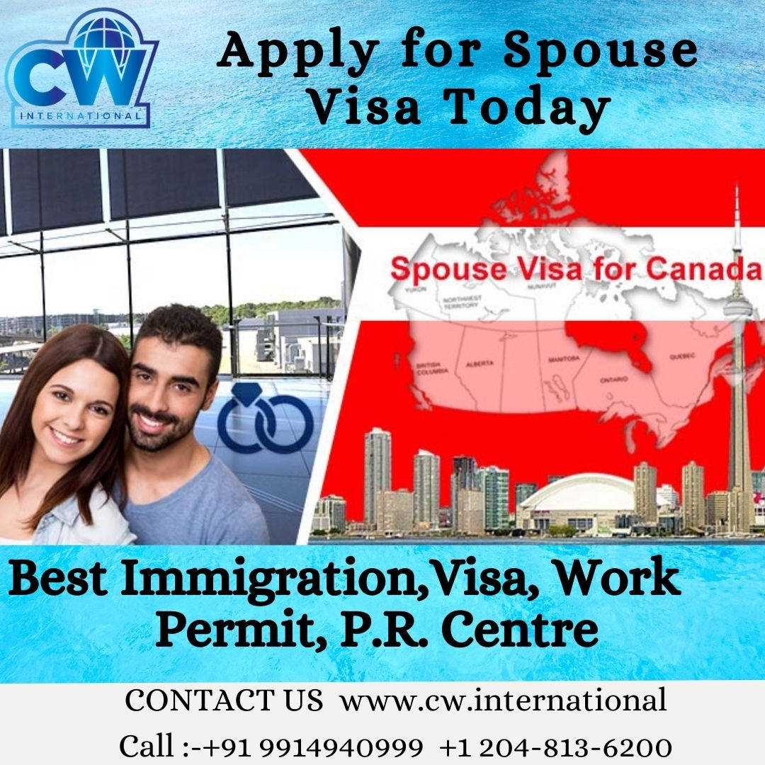 Best immigration in mohali'