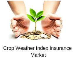 Crop Weather Index Insurance Market Next Big Thing | Major G