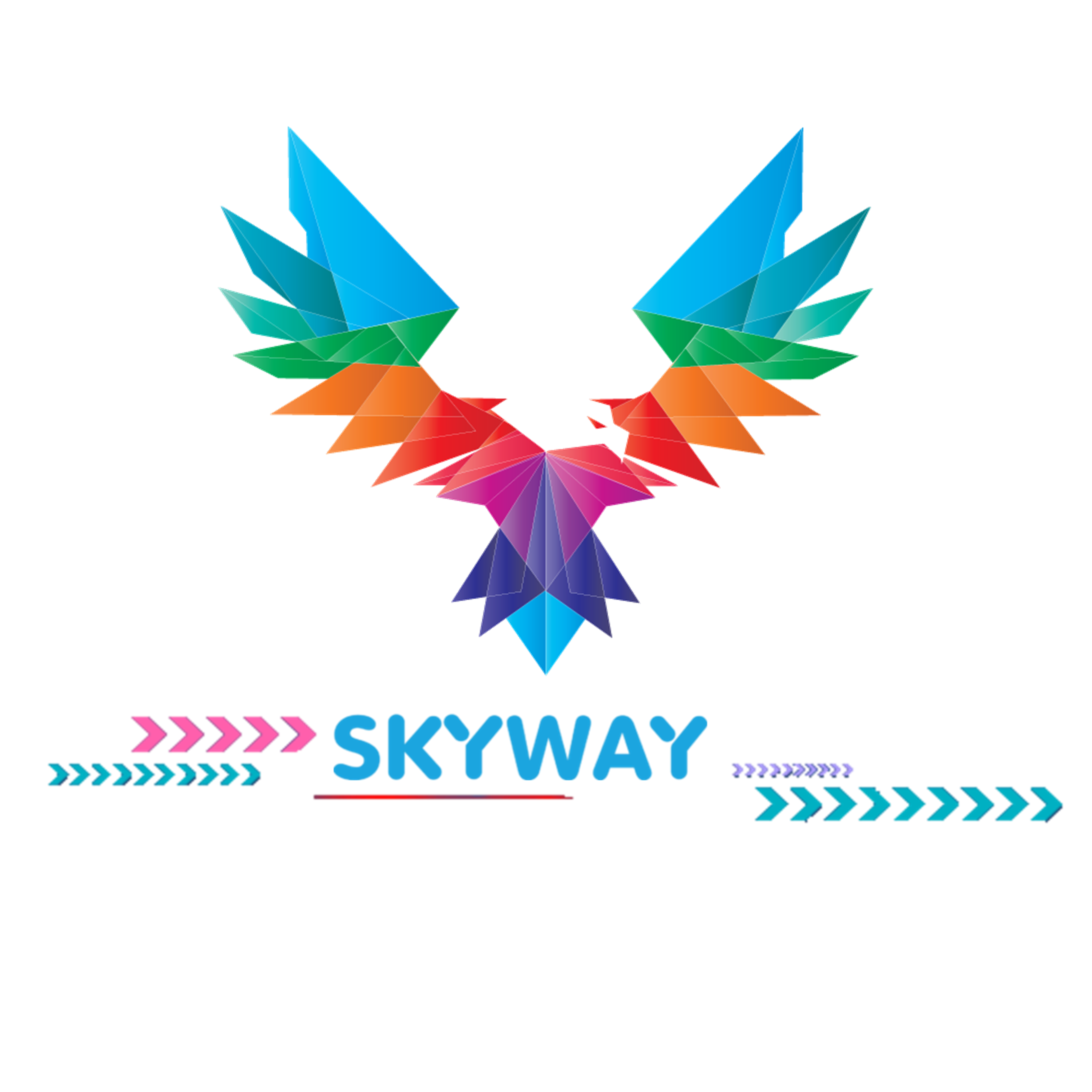 Skyway group Logo