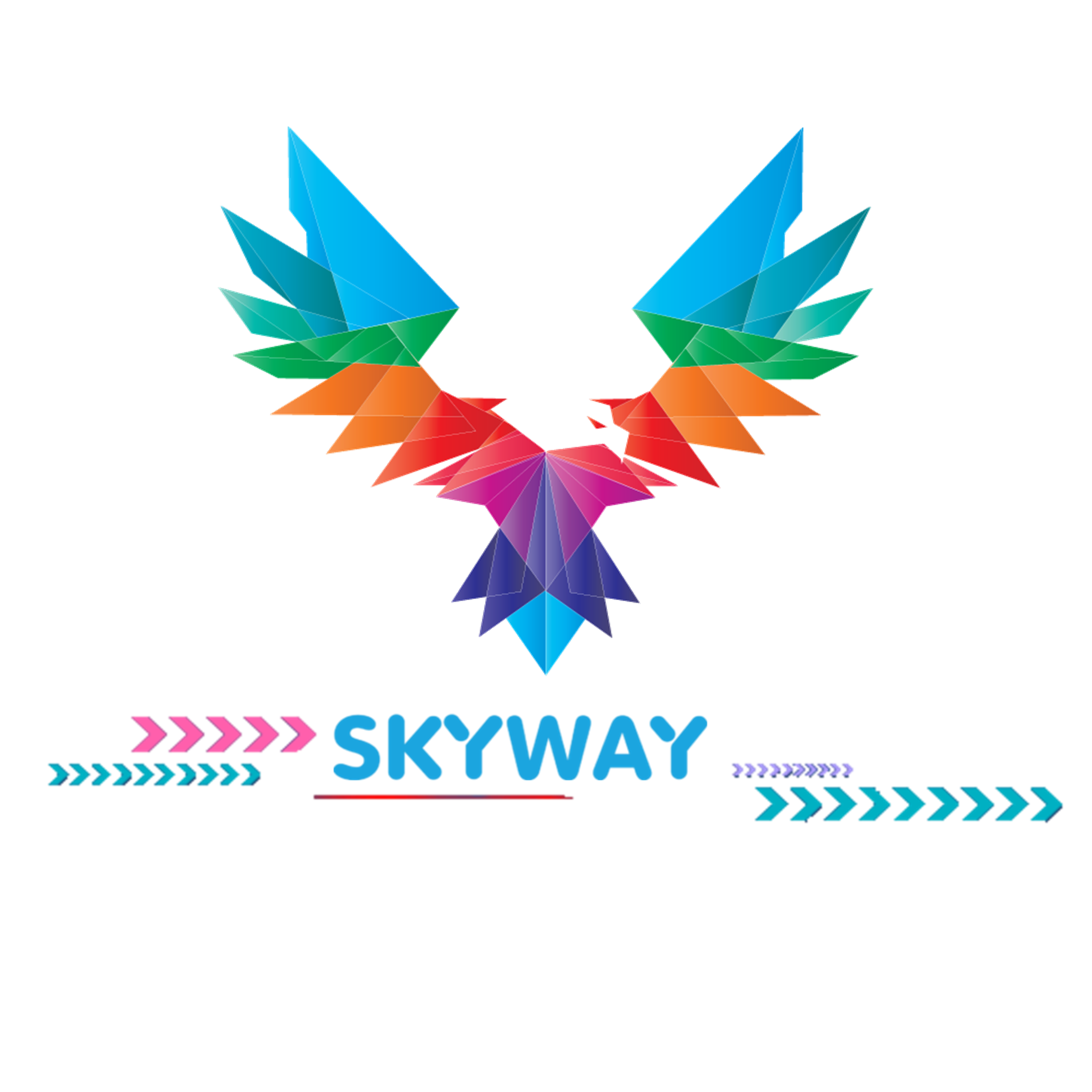 Company Logo For Skyway group'