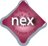 Company Logo For IT Outsourcing Services in Singapore - Nex'