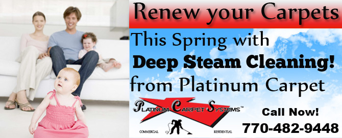 Platinum Carpet Systems