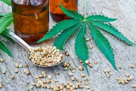 Cannabidiol Cbd Market to Watch: Spotlight on ENDOCA, CBD Am'