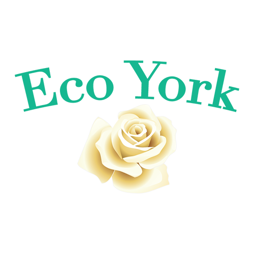 Company Logo For Eco York'