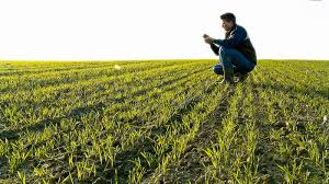 Crop Monitoring Market to Watch: Spotlight on Trimble, Topco'