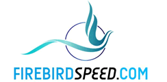 Company Logo For FireBirdSpeed'