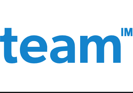 TEAM IM Logo