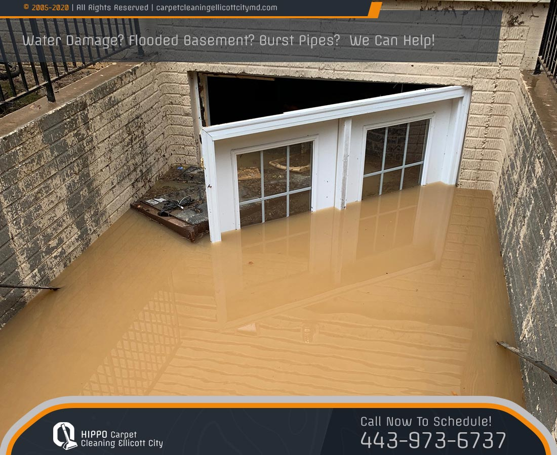 WATER DAMAGE RESTORATION'