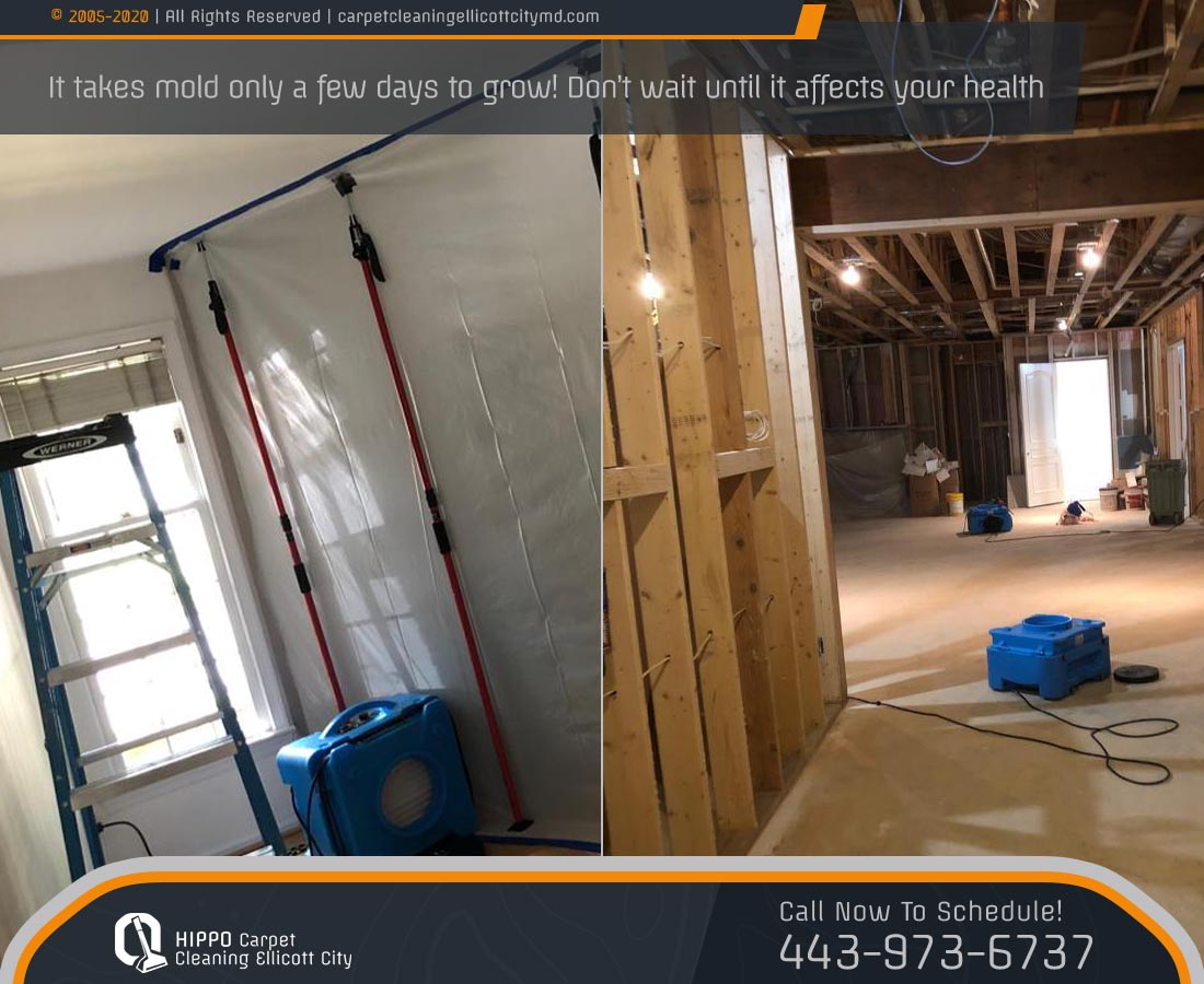 MOLD REMIDITION SERVICES'