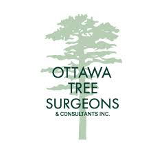 Company Logo For Ottawa Tree Surgeons &amp; Consultants'