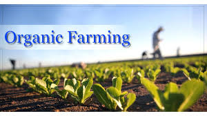 Organic Farming Market