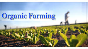 Organic Farming Market'