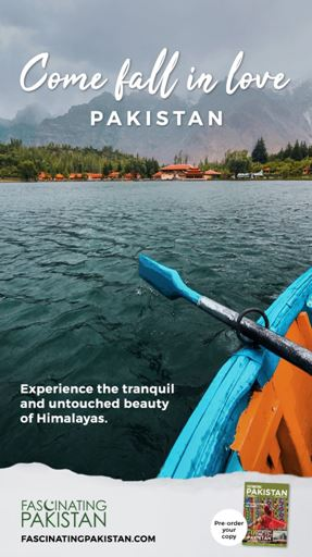 The campaign poster'