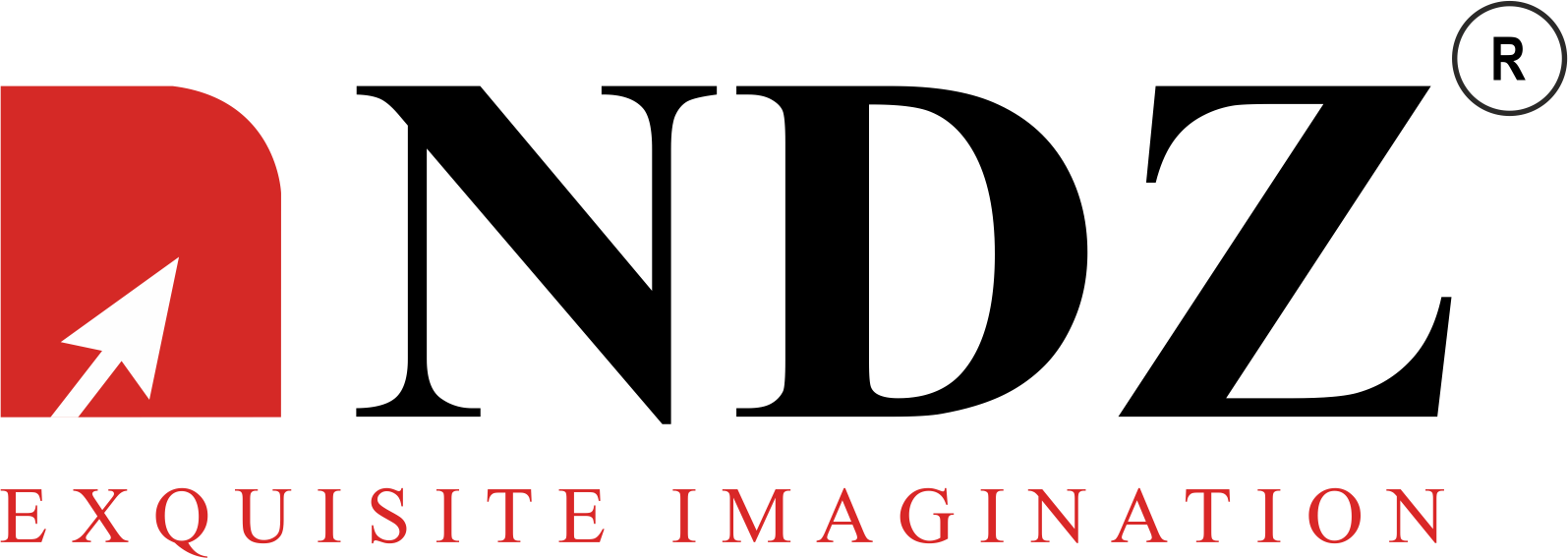 NDimensionz Solutions Pvt Ltd Logo