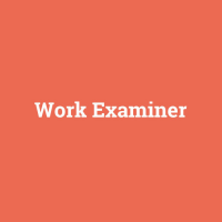 Work Examiner Logo