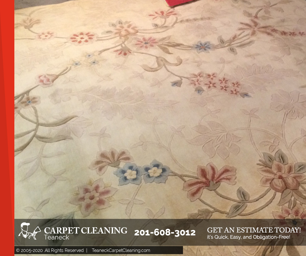 Carpet Cleaning Teaneck'