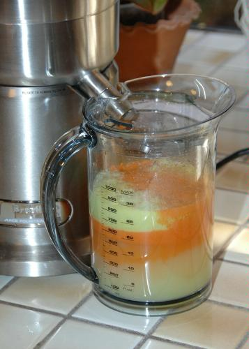 Breville Juice Extractor'