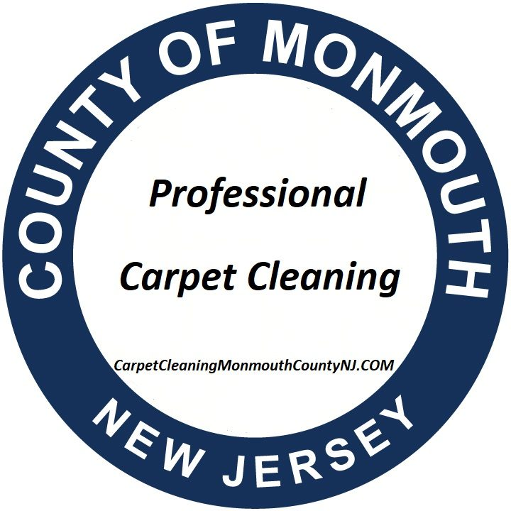 Company Logo For Carpet Cleaning Monmouth County NJ'