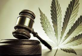 Legal Cannabis Market Growing Popularity and Emerging Trends'