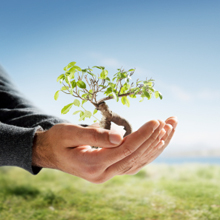 Gary and Sons Tree Service LLC
