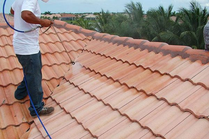 Top Roof Cleaning Services Riverview FL Logo