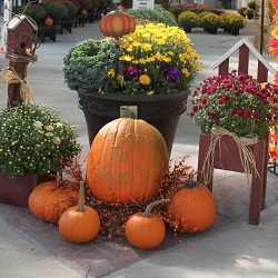 Garden Center'
