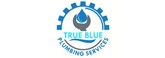 Company Logo For True Blue 24 Hour Plumbing Company Wayne Co'