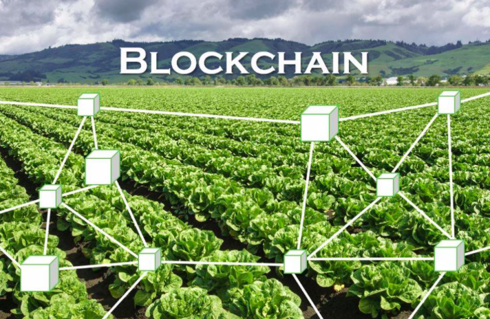 Blockchain in Agriculture and Food