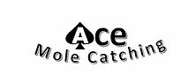 Ace Mole Catching'