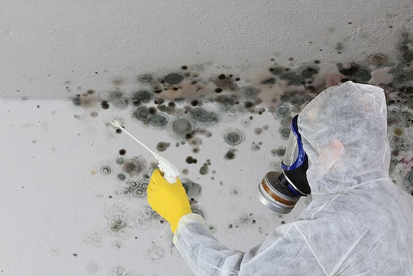 Mold Remediation Cost Aurora CO Logo