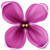 Luxury Golden Triangle