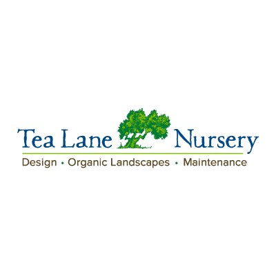 Tea Lane Nursery Logo