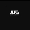 AerialPlatformsLtd Logo