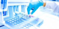 Biobanking For Medicine Market Worth Observing Growth: Therm