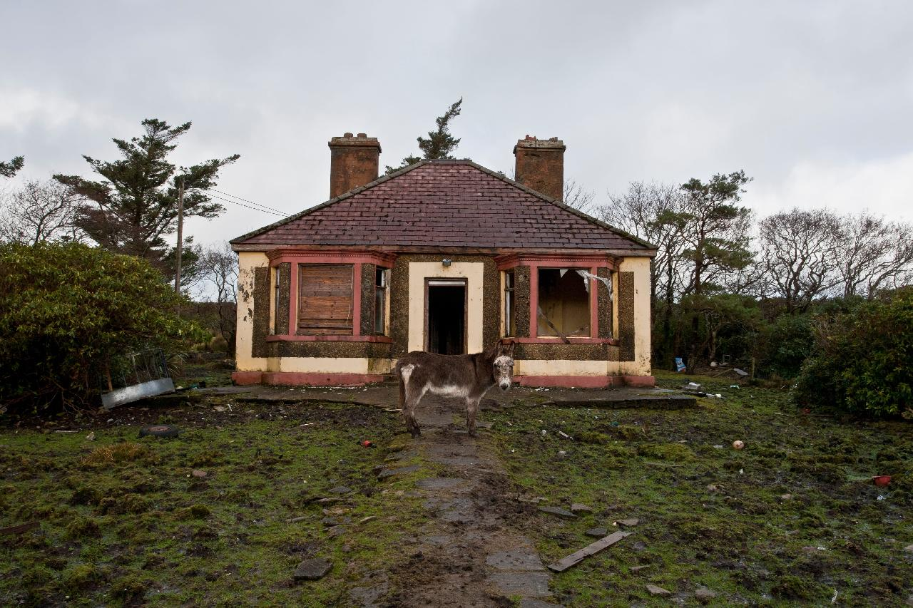 Minimize Potential Losses When Dealing With a Foreclosure