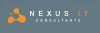 Company Logo For Nexus IT Consultants'