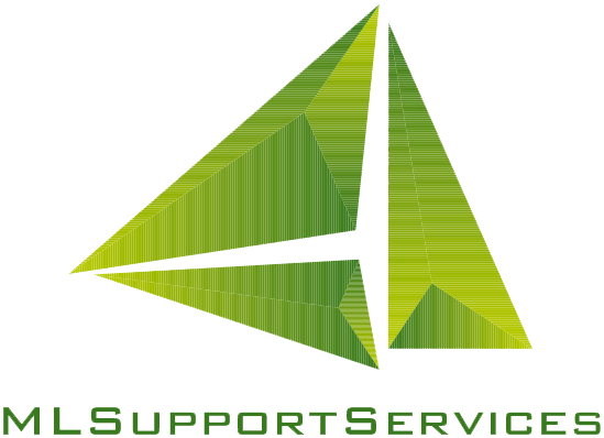 Company Logo For ML Support Services'