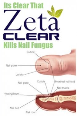 Kill Nail Fungus'