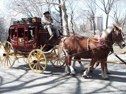 Animal Transportation