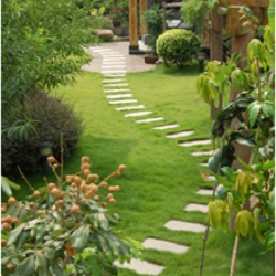 landscaping'