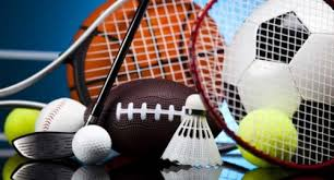 Sports League Software Market'