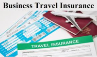 Business Travel Insurance Market Next Big Thing | Major Gian